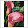 cross stitch pattern Mini Pink Calla Lilies