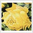 cross stitch pattern Mini Rosa Sulfurea