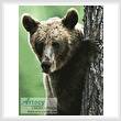 cross stitch pattern Peekaboo Bear