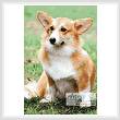 cross stitch pattern Pembroke Welsh Corgi