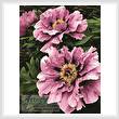 cross stitch pattern Pink Petals