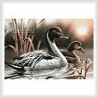 cross stitch pattern Pintails