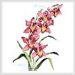 cross stitch pattern Pink Cymbidium