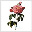 cross stitch pattern Rosa la Duchesse D'Orleans