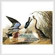cross stitch pattern Shoveller Duck