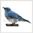 cross stitch pattern Blue Bird