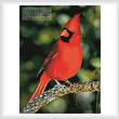 cross stitch pattern Cardinal Photo