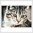 cross stitch pattern Cute Cat