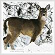 cross stitch pattern Deer in Snow