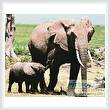 cross stitch pattern Elephants 2
