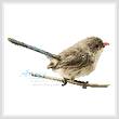 cross stitch pattern Female Splendid Fairy Wren