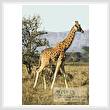 cross stitch pattern Giraffe 1
