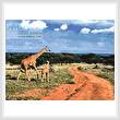 cross stitch pattern Giraffes 2