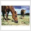cross stitch pattern Grazing