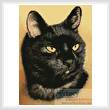 cross stitch pattern Black Cat
