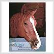 cross stitch pattern Horse Head