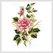 cross stitch pattern Antique Rose