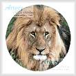 cross stitch pattern Lion Head Circle