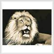 cross stitch pattern Lion 5