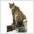 cross stitch pattern Lynx