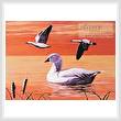 cross stitch pattern Snow Geese