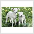 cross stitch pattern Easter Lambs
