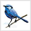 cross stitch pattern Male Splendid Fairy Wren