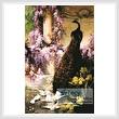 cross stitch pattern Peacock and Doves