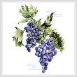 cross stitch pattern Concord Grapes