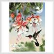 cross stitch pattern Fuchsia and Hummingbird
