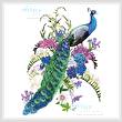 cross stitch pattern Proud as a Peacock
