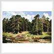 cross stitch pattern Pine Forest