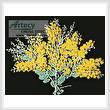 cross stitch pattern Queensland Silver Wattle
