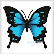 cross stitch pattern Butterfly Design 2 