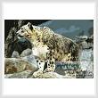 cross stitch pattern Snow Leopard