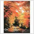 cross stitch pattern Autumn in New England