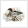 cross stitch pattern Australian Wood Ducks