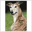 cross stitch pattern Brindle Greyhound