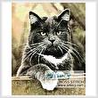 cross stitch pattern Cat on a Fence