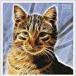 cross stitch pattern Cat Fractal