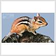 cross stitch pattern Chipmunk