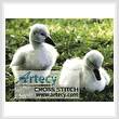 cross stitch pattern Cygnets