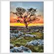 cross stitch pattern Dales Dusk