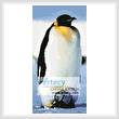 cross stitch pattern Emperor Penguin