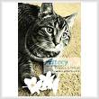 cross stitch pattern Flower Cat