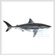 cross stitch pattern Great White Shark