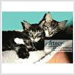 cross stitch pattern Kittens Photo