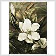 cross stitch pattern Magnolia Grandiflora