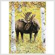 cross stitch pattern Moose in the Meadow