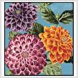 cross stitch pattern Mini Dahlias